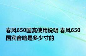 春风650国宾使用说明 春风650国宾音响是多少寸的
