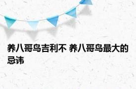 养八哥鸟吉利不 养八哥鸟最大的忌讳 