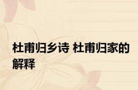 杜甫归乡诗 杜甫归家的解释