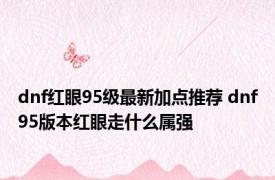 dnf红眼95级最新加点推荐 dnf95版本红眼走什么属强