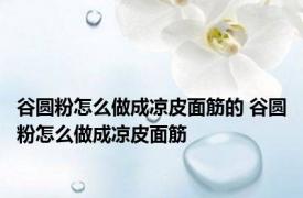 谷圆粉怎么做成凉皮面筋的 谷圆粉怎么做成凉皮面筋