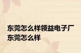 东莞怎么样领益电子厂 东莞怎么样 