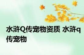 水浒Q传宠物资质 水浒q传宠物 