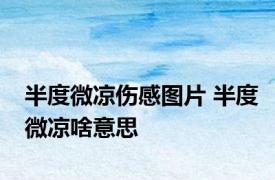半度微凉伤感图片 半度微凉啥意思