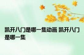 凯开八门是哪一集动画 凯开八门是哪一集