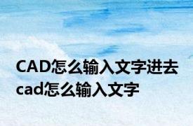 CAD怎么输入文字进去 cad怎么输入文字