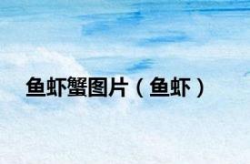 鱼虾蟹图片（鱼虾）