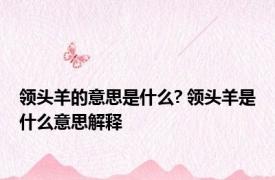 领头羊的意思是什么? 领头羊是什么意思解释