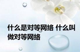 什么是对等网络 什么叫做对等网络
