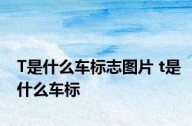 T是什么车标志图片 t是什么车标