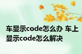 车显示code怎么办 车上显示code怎么解决