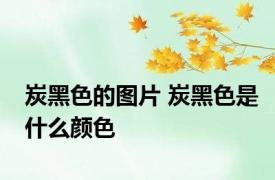 炭黑色的图片 炭黑色是什么颜色