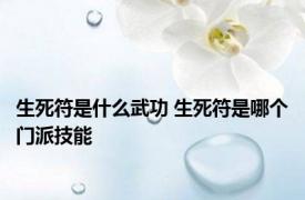 生死符是什么武功 生死符是哪个门派技能