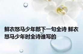 鲜衣怒马少年郎下一句全诗 鲜衣怒马少年时全诗谁写的