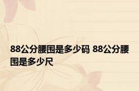 88公分腰围是多少码 88公分腰围是多少尺