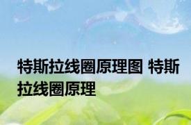 特斯拉线圈原理图 特斯拉线圈原理
