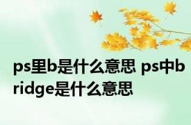 ps里b是什么意思 ps中bridge是什么意思