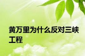 黄万里为什么反对三峡工程