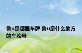 鲁u是哪里车牌 鲁u是什么地方的车牌号