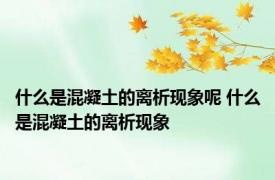 什么是混凝土的离析现象呢 什么是混凝土的离析现象