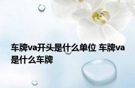 车牌va开头是什么单位 车牌va是什么车牌