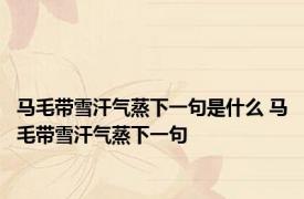 马毛带雪汗气蒸下一句是什么 马毛带雪汗气蒸下一句