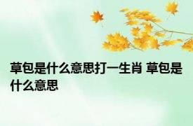 草包是什么意思打一生肖 草包是什么意思