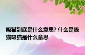 吸猫到底是什么意思? 什么是吸猫吸猫是什么意思