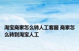 淘宝商家怎么转人工客服 商家怎么转到淘宝人工