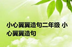 小心翼翼造句二年级 小心翼翼造句