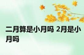 二月算是小月吗 2月是小月吗
