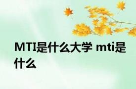 MTI是什么大学 mti是什么
