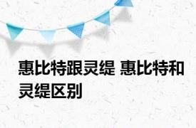 惠比特跟灵缇 惠比特和灵缇区别