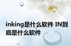 inking是什么软件 IN到底是什么软件