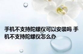 手机不支持陀螺仪可以安装吗 手机不支持陀螺仪怎么办