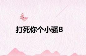 打死你个小骚B