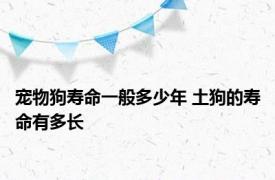 宠物狗寿命一般多少年 土狗的寿命有多长