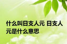 什么叫日支人元 日支人元是什么意思