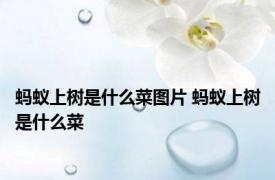 蚂蚁上树是什么菜图片 蚂蚁上树是什么菜