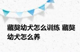 藏獒幼犬怎么训练 藏獒幼犬怎么养