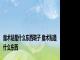 魔术贴是什么东西鞋子 魔术贴是什么东西