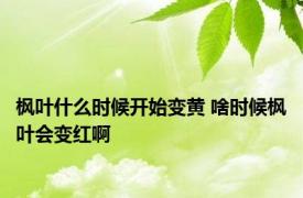 枫叶什么时候开始变黄 啥时候枫叶会变红啊