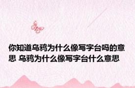 你知道乌鸦为什么像写字台吗的意思 乌鸦为什么像写字台什么意思