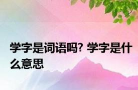 学字是词语吗? 学字是什么意思