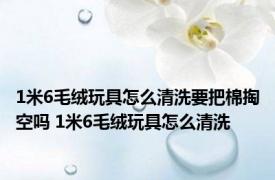 1米6毛绒玩具怎么清洗要把棉掏空吗 1米6毛绒玩具怎么清洗