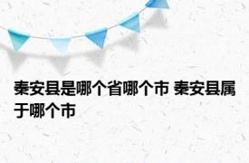 秦安县是哪个省哪个市 秦安县属于哪个市