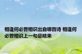 相逢何必曾相识出自哪首诗 相逢何必曾相识上一句是啥来