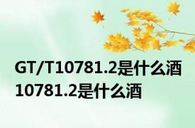 GT/T10781.2是什么酒 10781.2是什么酒