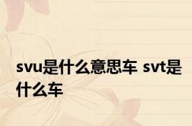 svu是什么意思车 svt是什么车
