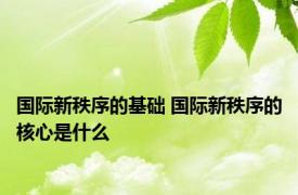 国际新秩序的基础 国际新秩序的核心是什么